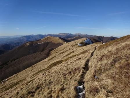 Verso Colle delle Vacche