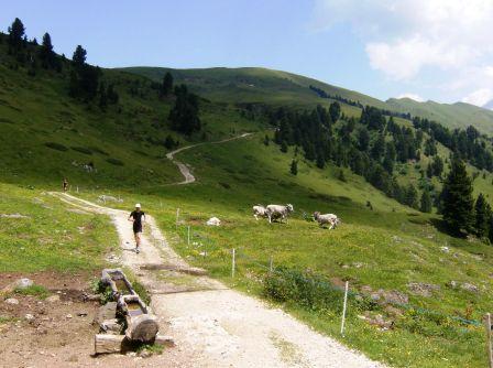 Val di Fassa Catinaccio di Antermoia-Salendo verso Passo Duron