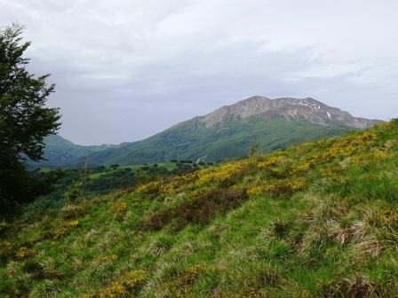 Sentiero Passo Pratizzano Monte Ventasso, Alpe di Succiso e Monte Casarola