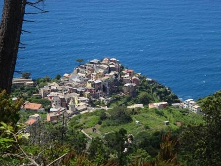 Corniglia dall'alto