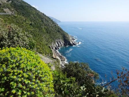 costa fra Vernazza e Corniglia