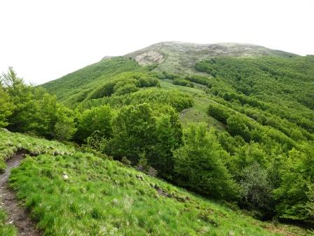 sentiero Passo Pratizzano Monte Ventasso