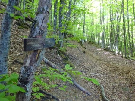 Freccia di legno sentiero Alpesigola Sant'Antonio