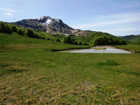 Prati di Sara Monte Cusna