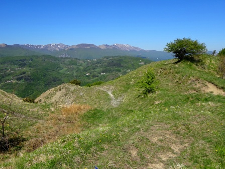 sentiero Alpesigola vista Prado Cusna