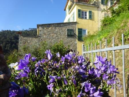 Porciana presso Volastra lungo il sentiero 586 proveniente da Corniglia