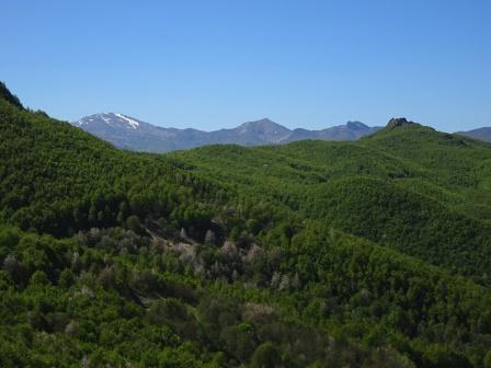 Giovo Cima Omo Romecchio Sasso Tignoso Alpesigola