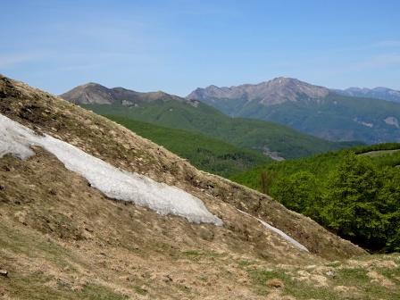 Monte Cavalbianco Alpe di Succiso