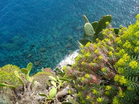 mar Ligure sotto Corniglia