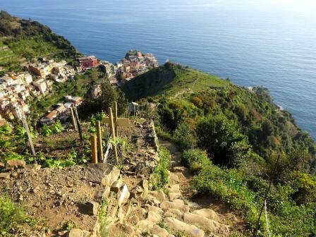 Sentiero panoramico Manarola