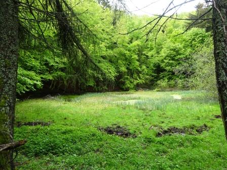 Ventasso Lago Verde 