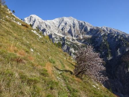 Val di Resia Monte Canin