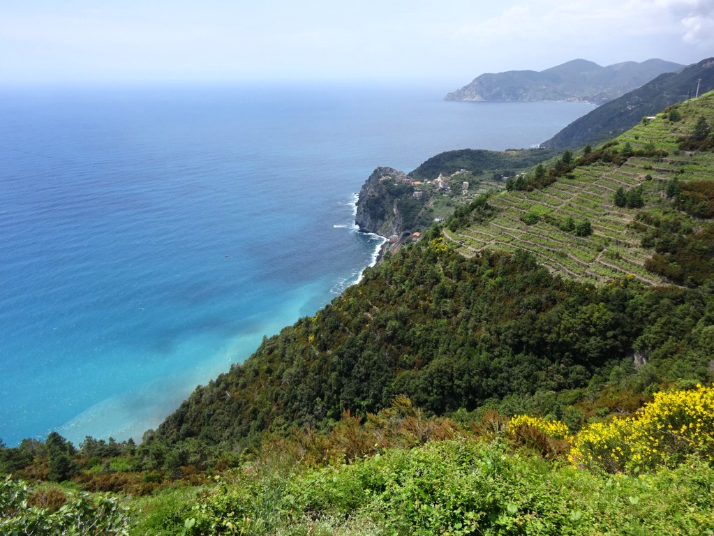 Volastra la costa verso Corniglia e Punta Mesco