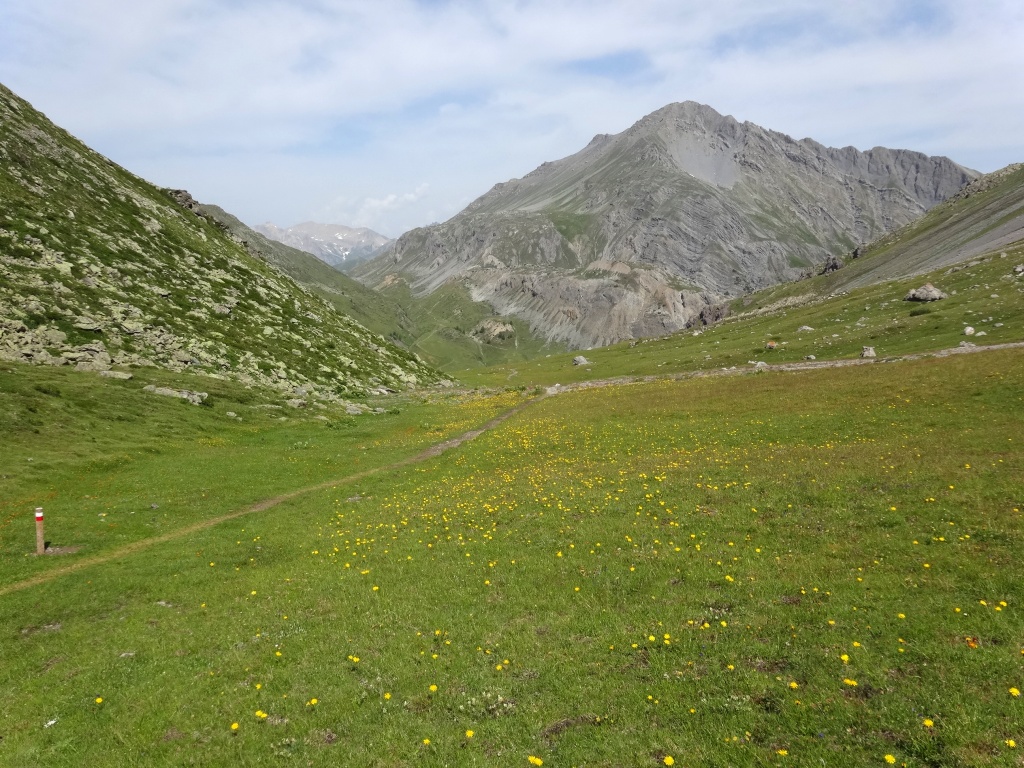 Sentieri Parco nazionale dello Stelvio Alpe Trela