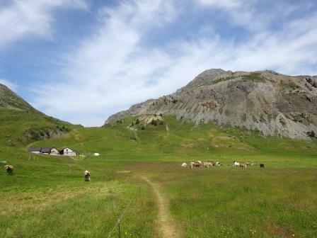 Sentieri Parco nazionale dello Stelvio Alpe Trela