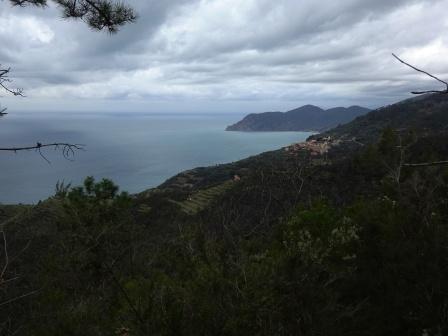 Cinque Terre Punta Mesco Volastra