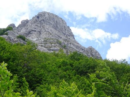 Monte Grondilice