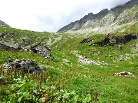 Alpe Scarone Alta Valle Antrona