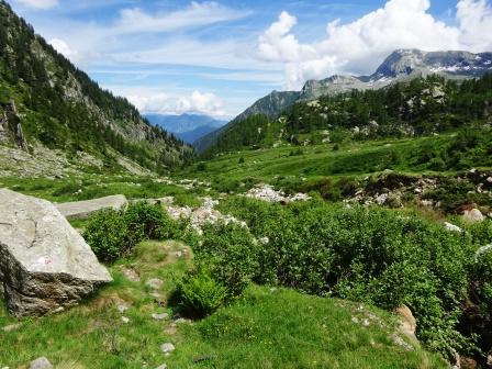 Alpe Banella Alta Valle Antrona