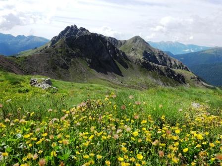 Sentieri Lagorai Monte Val Piana