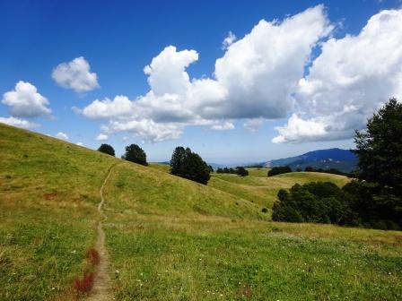 Monte Tavola