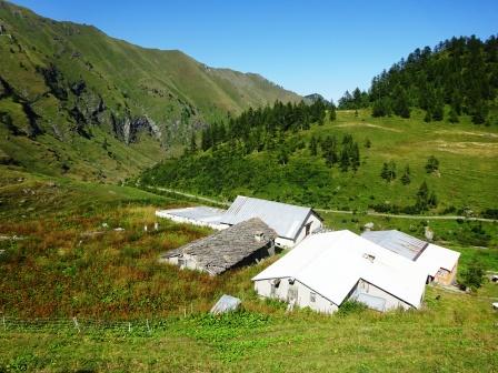 Bergeria Balma Vallone di Rodoretto