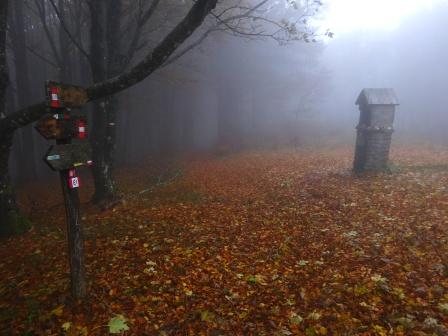 Pilastrino votivo Poggio Scali Parco Foreste Casentinesi