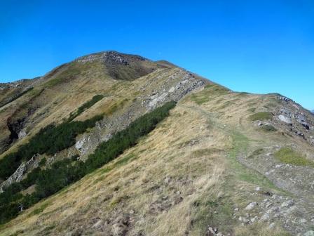 Cima dell'Omo