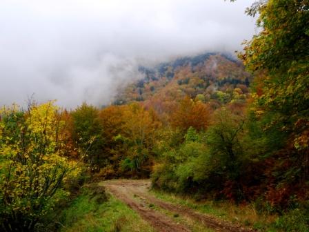 Colori autunnali nel Parco delle Foreste Casentinesi