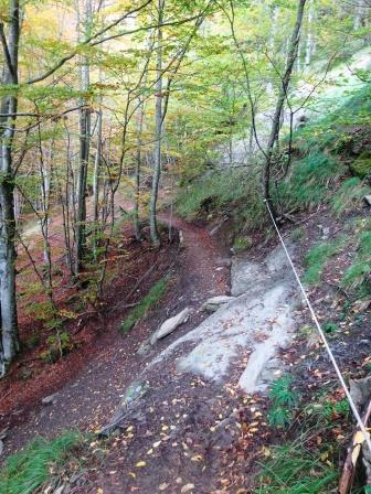 Sentiero MTB8 Foreste Casentinesi corda