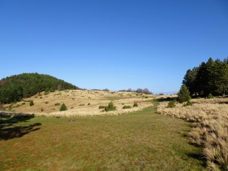 Monte Borla prateria