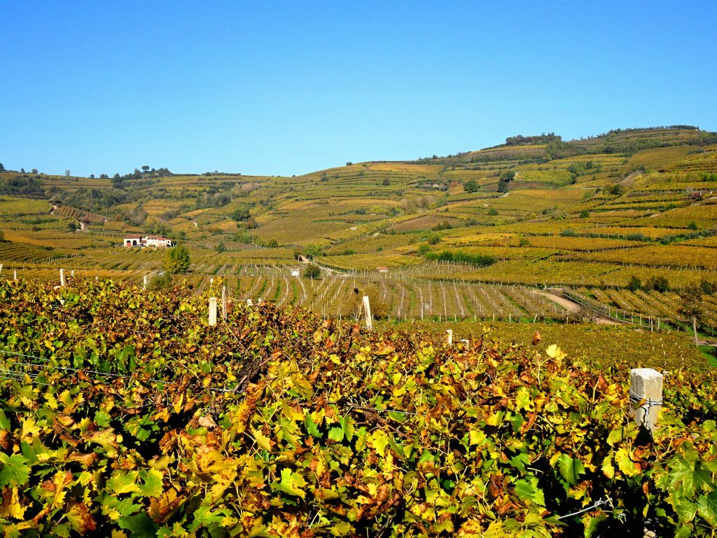 Colline di Monteforte d'Alpone, percorso 10 capitelli