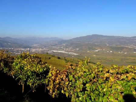 Colline di Monteforte d'Alpone, vista sul Carega