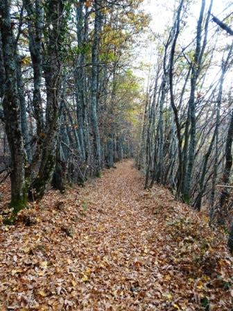 Strada della Pollina, Castellino di Riolunato