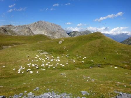 Escursione Altopiano della Gardetta