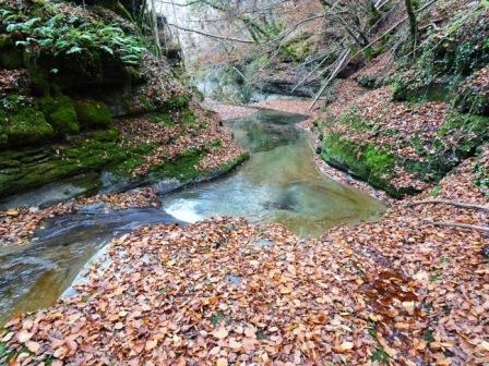 Rio Monio, orrido della Pollina