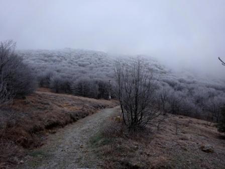 Passo Faiallo Monte Reixa