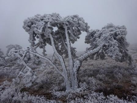 Galaverna verso il Rifugio Argentea