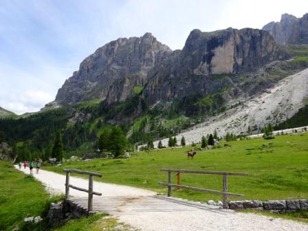 Val Venegia Campigol della Vezzana