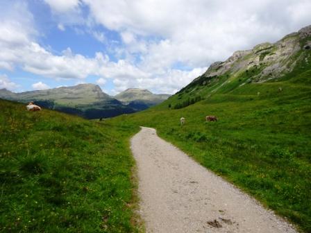 percorso Passo Rolle Malga Juribello