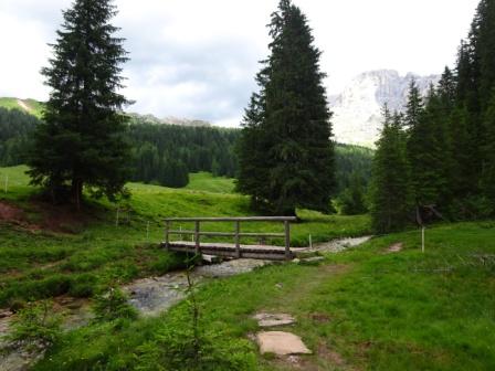 Val Venegia Torrente Travignolo