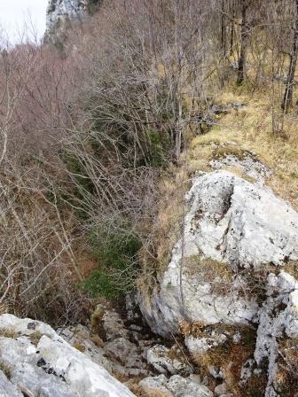 canalino Monte Matanna Rifugio Forte dei Marmi 