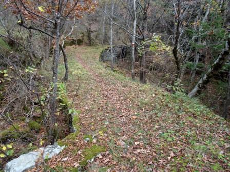 Mulattiera Castellino Bosco sentiero 473