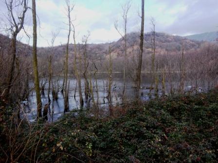 anfiteatro morenico Ivrea Lago torbiera di Chiaverano