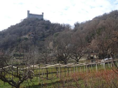 Castello di Montalto