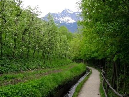 Sentiero roggia di Marlengo Cigot