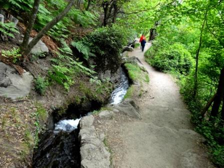 Fra meleti e vigneti lungo il Sentiero roggia di Lagundo bosco