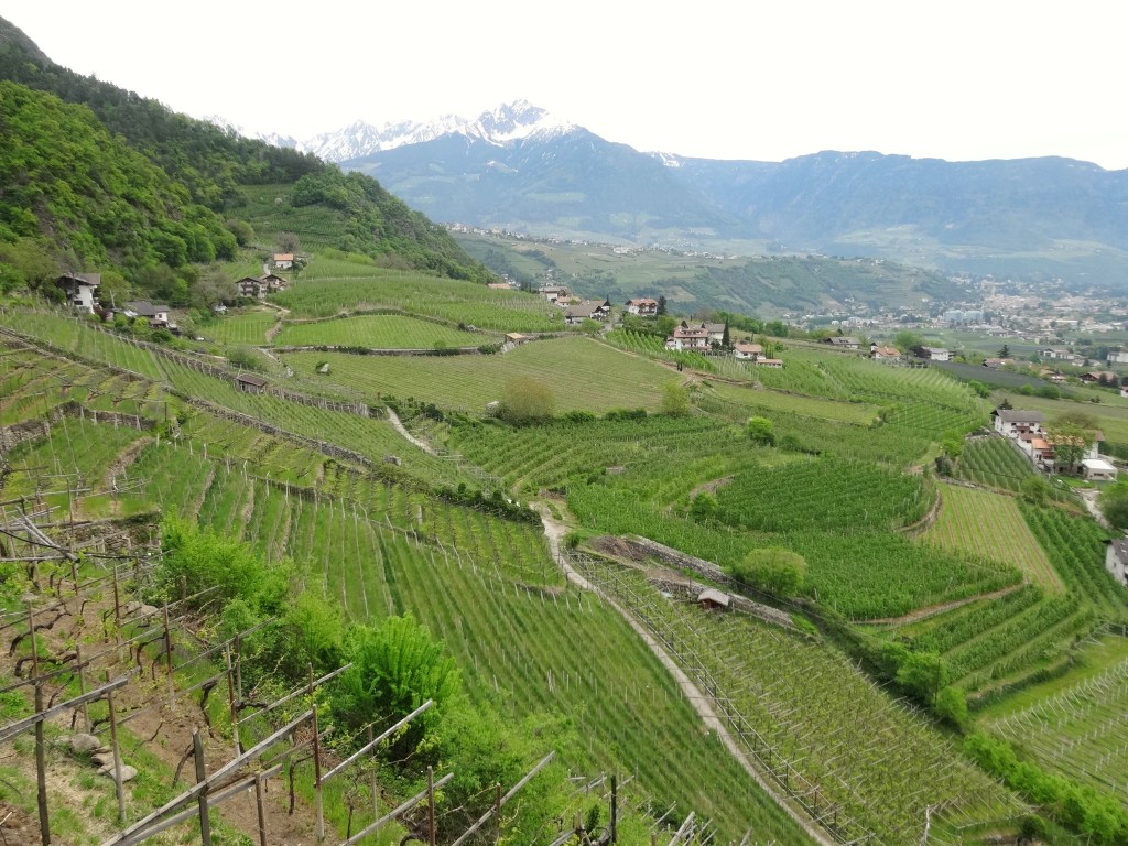 Sentiero roggia di Lagundo