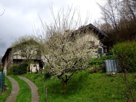 Civenna Bellagio Cascina Gorla