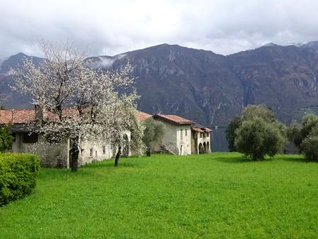 Bellagio Oliverio